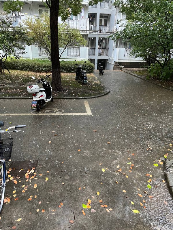 雷暴雨⛈️😿