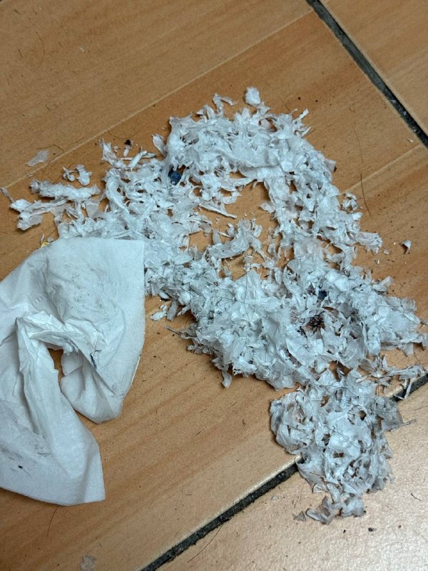 坏消息：洗衣服的时候忘记掏纸了