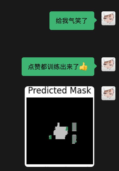 这破模型啥时候能好啊，我还能不能毕业